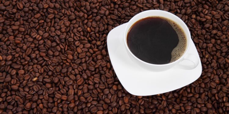 Exploring the Revolution in Coffee Brewing Equipment: Trends and Innovations