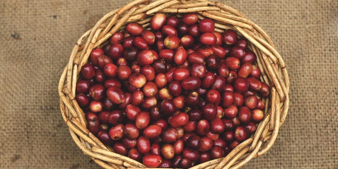 The Surprising Health Benefits of Coffee: From Heart Health to Brain Boost
