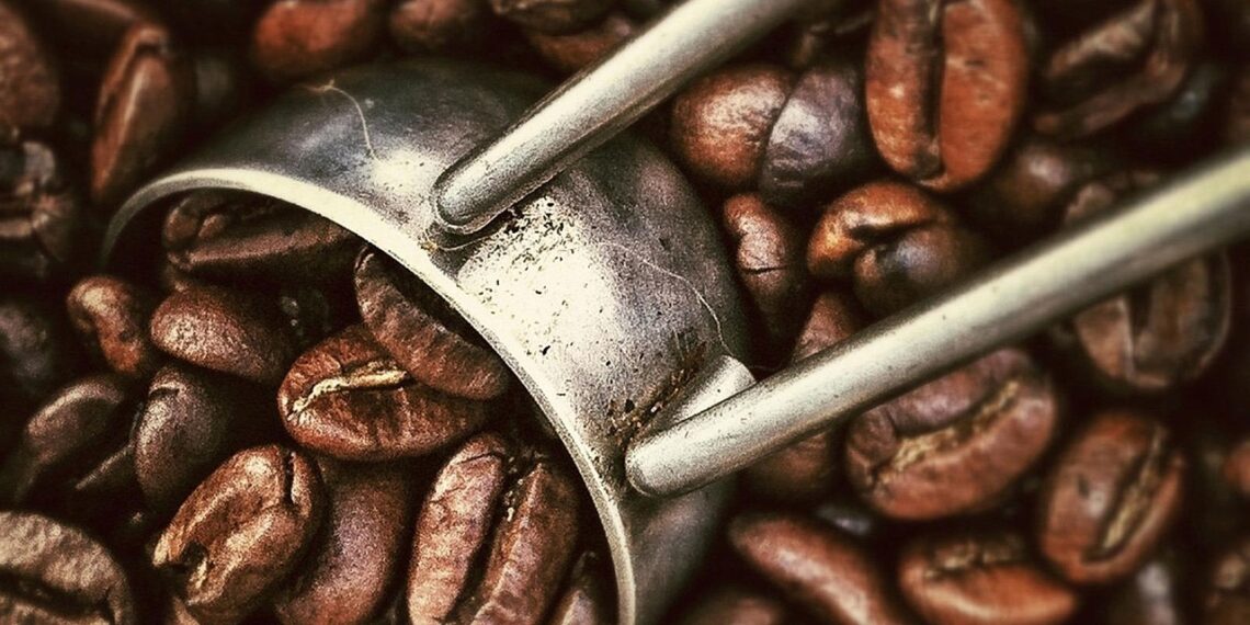 Common Coffee Brewing Blunders Every Newbie Makes