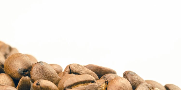 Boosting Brain Power: Exploring the Impact of Coffee on Cognitive Function