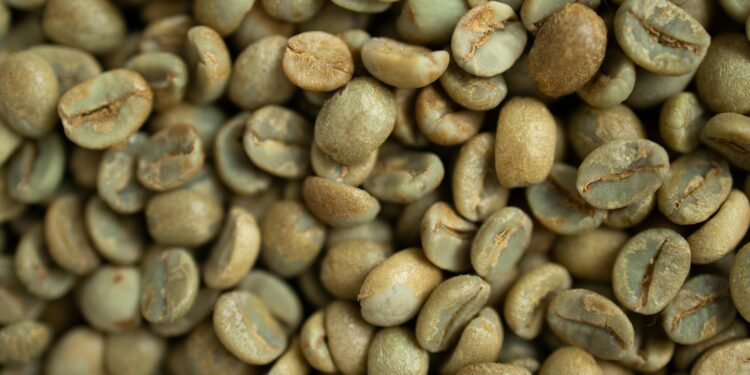 Unveiling the Secrets of the World’s Best Coffee Beans